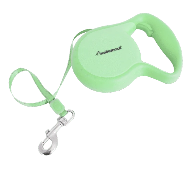 Laisse à enrouleur pour chien avec dragonne, taille L, 4,9 mètres – Petmate Walkabout Retractable Leash Glow in the Dark