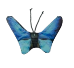 Papillon de jeu pour chat avec herbe à chat – Wild Life Collection Cat Papillon bleu – Image 2
