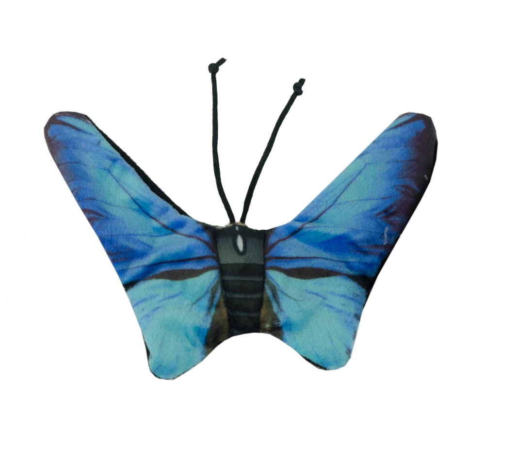 Papillon de jeu pour chat avec herbe à chat – Wild Life Collection Cat Papillon bleu – Image 2