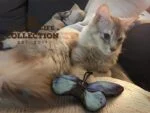 Papillon de jeu pour chat avec herbe à chat – Wild Life Collection Cat Papillon bleu – Image 3