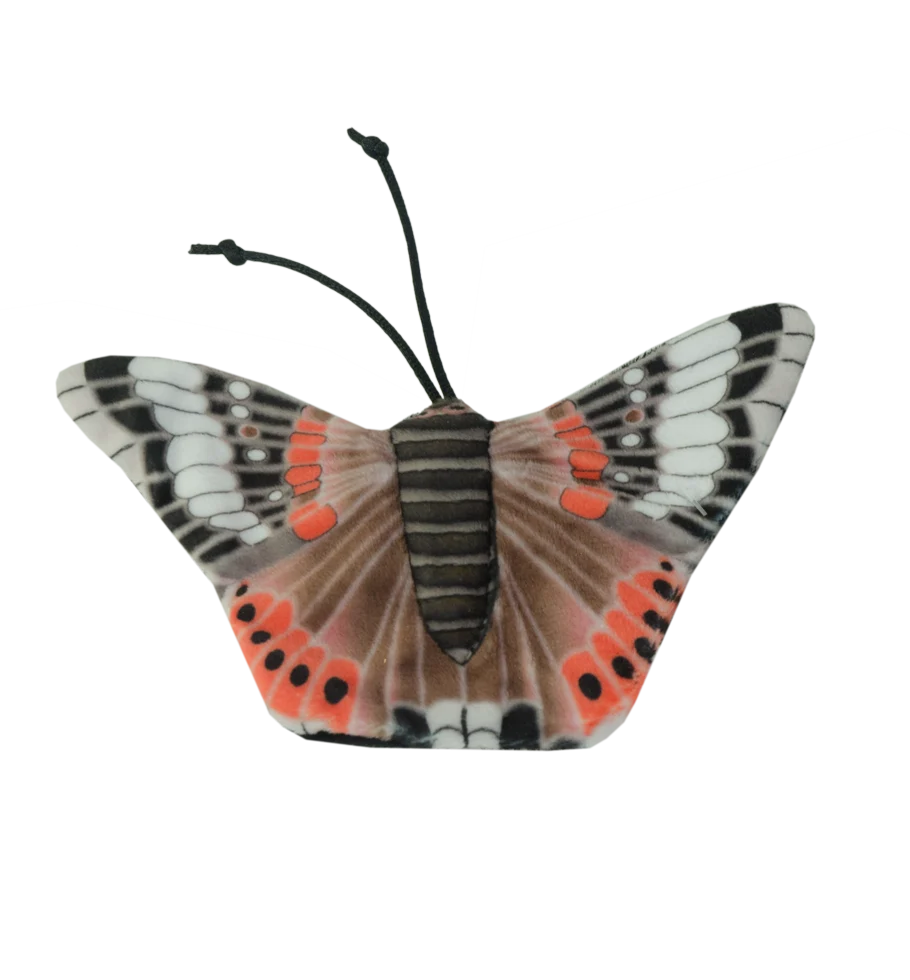 Papillon jouet pour chat avec herbe à chat – Wild Life Collection Cat Papillon amiral – Image 2