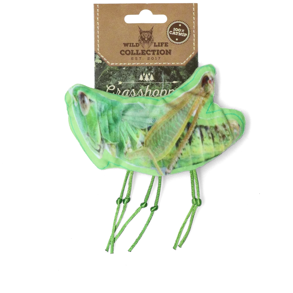 Jouet pour chat en forme de sauterelle à l’herbe à chat – Wild Life Collection Cat Sprinkhaan – Image 1