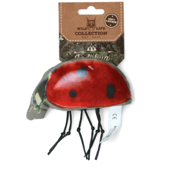 Jouet pour chat en forme de coccinelle avec herbe à chat – Wild Life Collection Cat Coccinelle