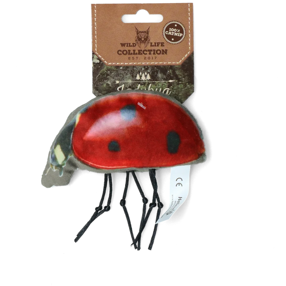 Jouet pour chat en forme de coccinelle avec herbe à chat – Wild Life Collection Cat Coccinelle – Image 1