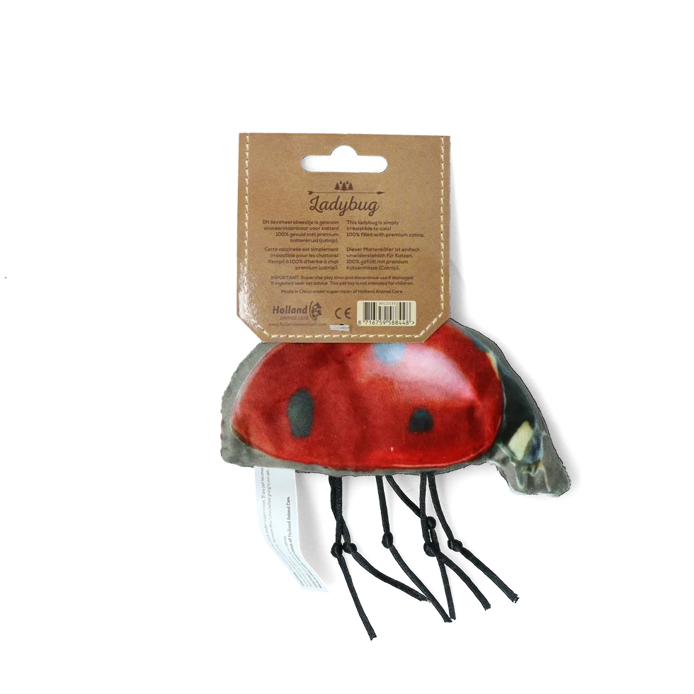 Jouet pour chat en forme de coccinelle avec herbe à chat – Wild Life Collection Cat Coccinelle – Image 2