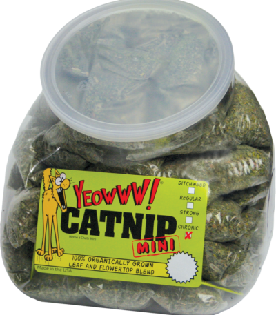 Sachets d’herbe à chat, 50 x 4 g – Yeowww! Minis