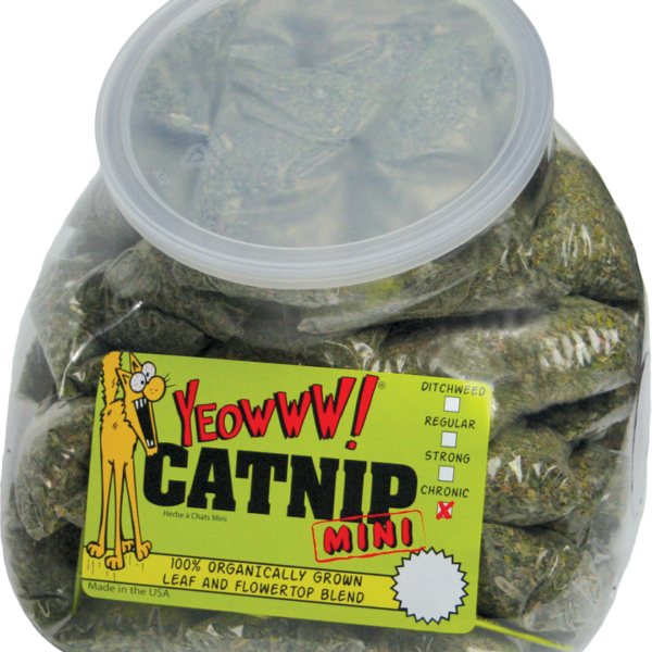 Sachets d’herbe à chat, 50 x 4 g – Yeowww! Minis