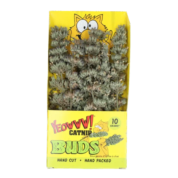 Bourgeons d’herbe à chat 10 g en sachet refermable – Yeowww! Catnip Buds