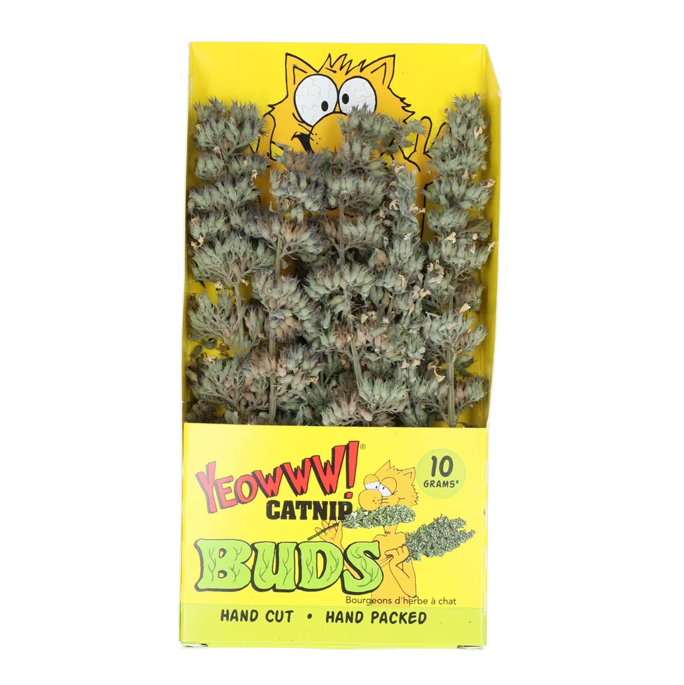 Bourgeons d’herbe à chat 10 g en sachet refermable – Yeowww! Catnip Buds – Image 1