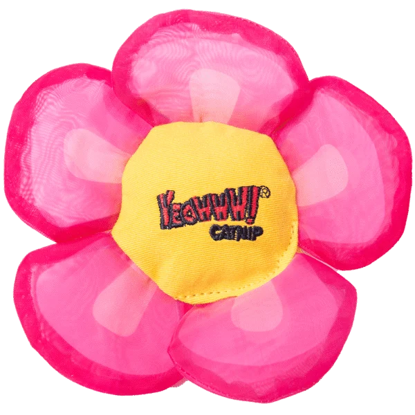 Fleur à jouer pour chats avec herbe à chat et pétales bruissants, rose – Yeowww! Daisy's Flower Tops