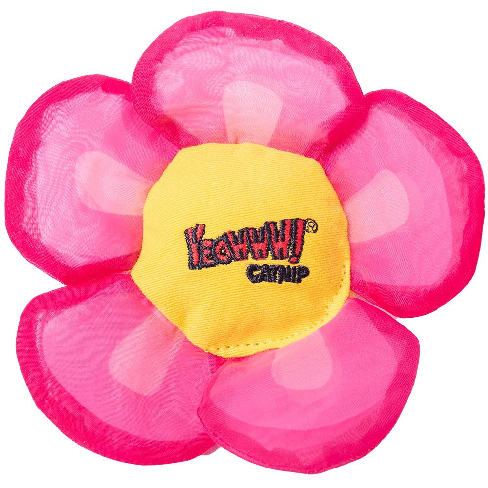 YEOW060B.png Fleur à jouer pour chats avec herbe à chat et pétales bruissants, rose – Yeowww! Daisy's Flower Tops – Image 1
