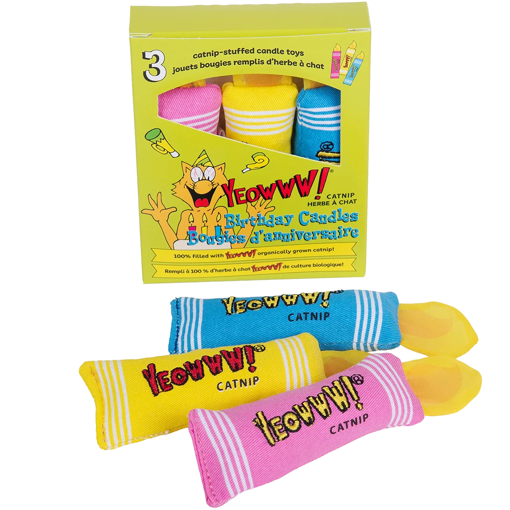 YEOW069.png Jouets pour chat, bougies d’anniversaire à l’herbe à chat, 3 pièces – Yeowww! Birthday Candles – Image 1