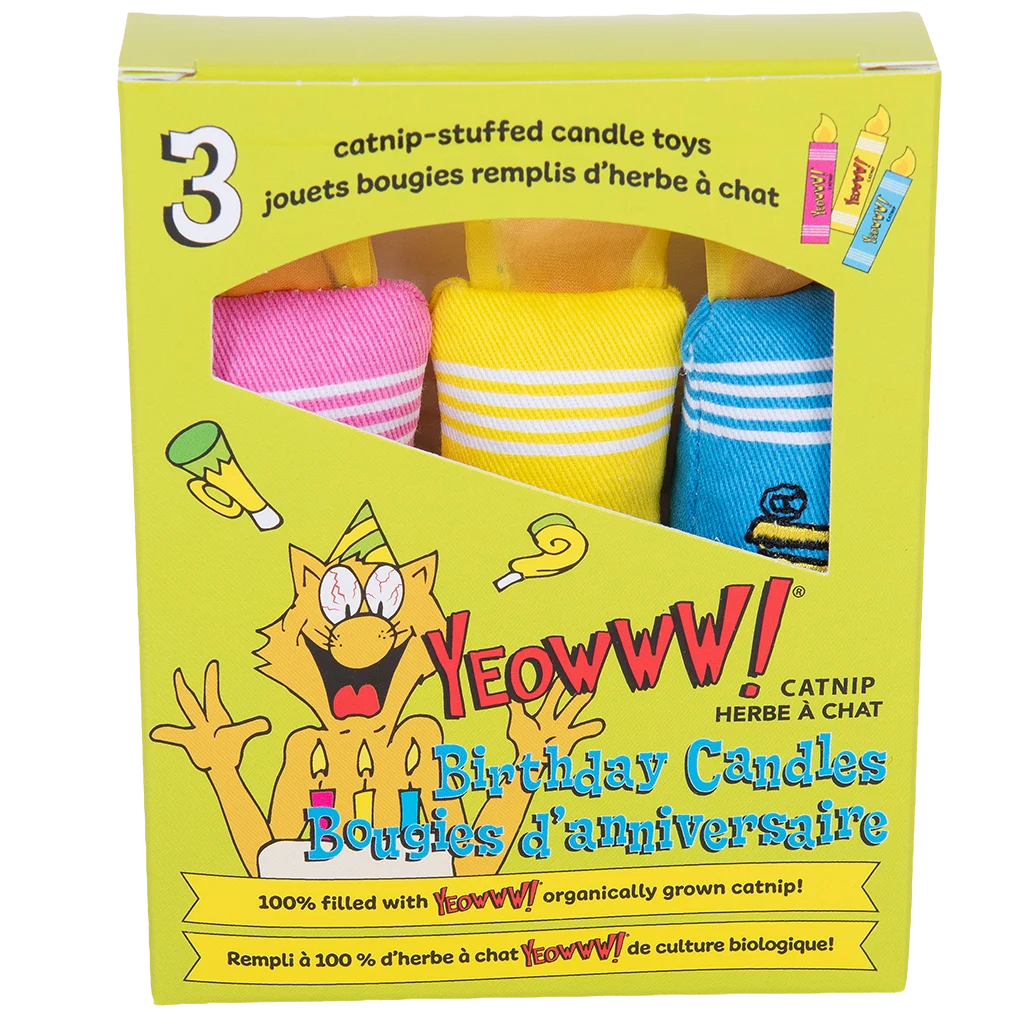 Jouets pour chat, bougies d’anniversaire à l’herbe à chat, 3 pièces – Yeowww! Birthday Candles – Image 2