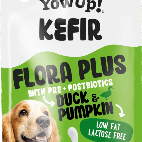 Friandise au kéfir pour chien au canard et à la citrouille – YowUp! Kefir