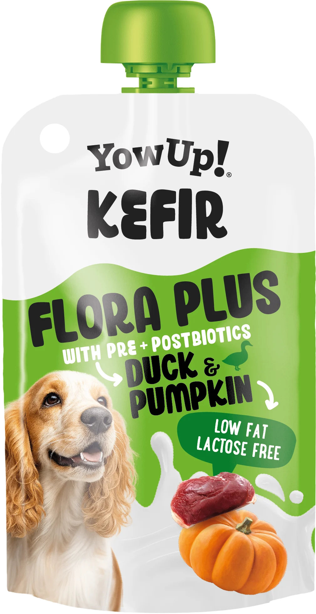 Friandise au kéfir pour chien au canard et à la citrouille – YowUp! Kefir – Image 1