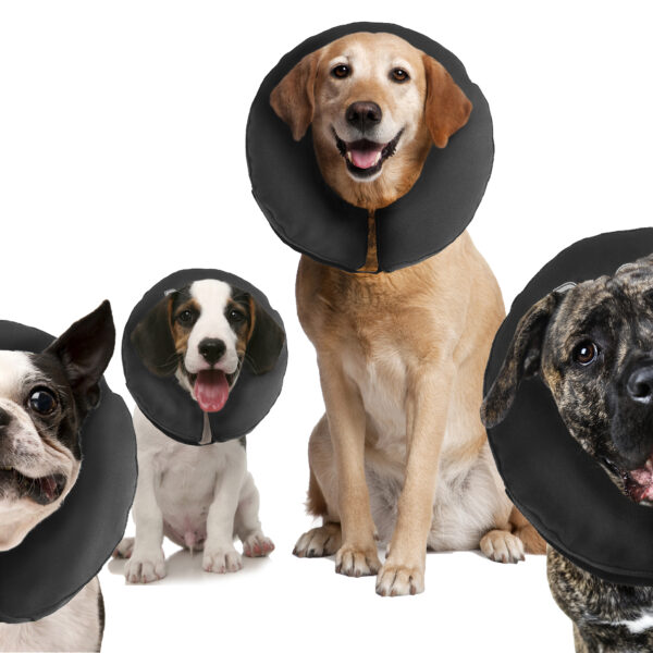 Collerette de protection pour chien M, lavable, 22,9 à 33 cm – Zenpet ProCollar