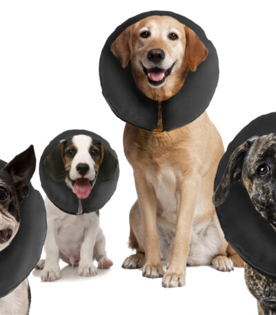 Collerette de protection pour chien M, lavable, 22,9 à 33 cm – Zenpet ProCollar