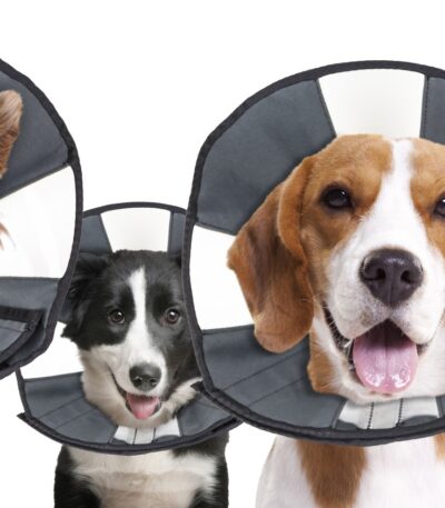Collerette de protection lavable, 30,5 à 38,1 cm – Zenpet Procone M