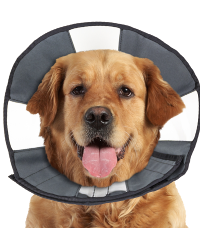 Collerette de protection lavable, 45,7 à 58,4 cm – Zenpet Procone XL