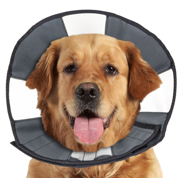 Collerette de protection lavable, 45,7 à 58,4 cm – Zenpet Procone XL