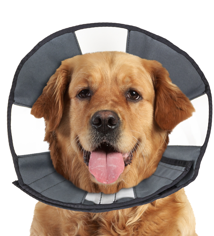 Beschermkraag Wasbaar, 45,7 tot 58,4 cm – Zenpet Procone XL Collerette de protection lavable, 45,7 à 58,4 cm – Zenpet Procone XL