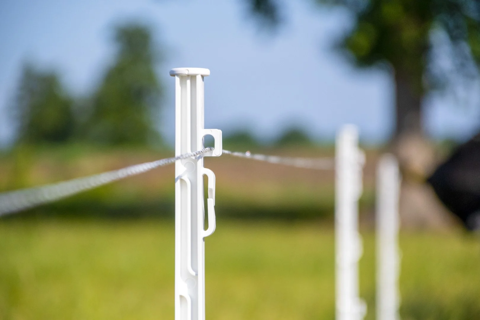Fil électrifiable 3 mm, blanc et vert foncé, 400 m – ZoneGuard Plus – Image 3