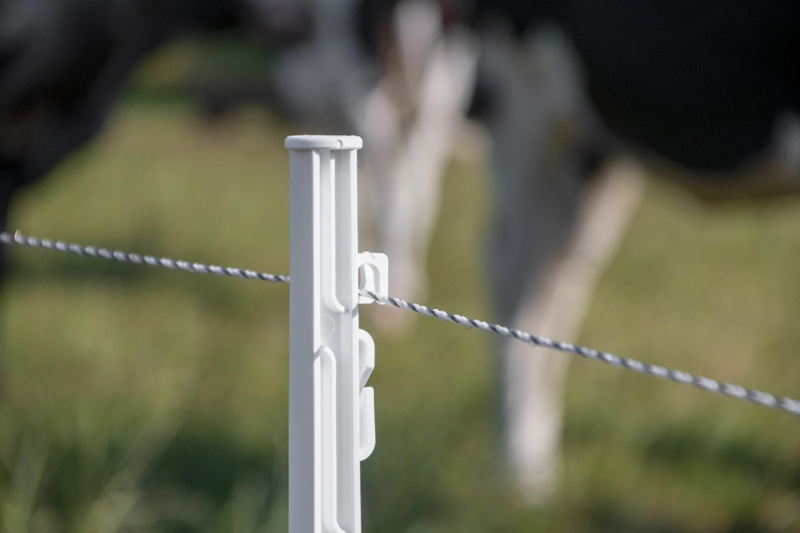 Fil électrifiable 3 mm, blanc et vert foncé, 400 m – ZoneGuard Plus – Image 5