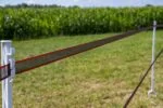 Ruban électrifiable marron 40 mm avec bords renforcés, 200 m – ZoneGuard Plus – Image 3
