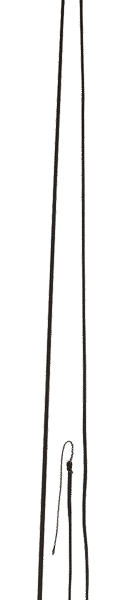 Fouet de longe en fibre de verre 180 cm, longueur totale 410 cm