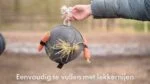 Balle de jeu pour cheval en suède avec boucles élastiques, rose – Excellent Horse Fun Play Ball – Image 4