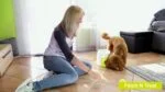 Jouet distributeur de friandises pour chien avec balle de tennis et compartiment amovible pour croquettes – AFP Interactives Fetch'N'Treat 2nd Generation – Image 4