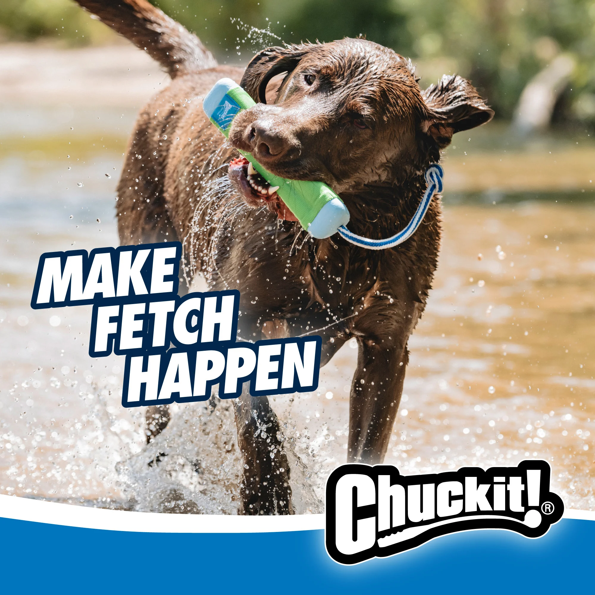 Dummy à rapporter avec corde, flottant, ø 4 cm x 18 cm – Chuckit! Amphibious Bumper S – Image 3