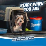 Set de balles pour chien avec seau et trous de drainage, 8 balles M – Chuckit! Bucket – Image 4