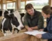 Une vache pie noire se tient à côté de deux personnes qui regardent un carnet ouvert dans une étable.