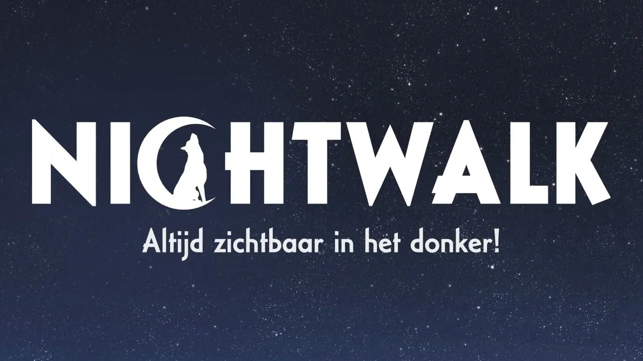 Collier lumineux rechargeable pour chien, orange – Nightwalk Safety Collar – Image 2