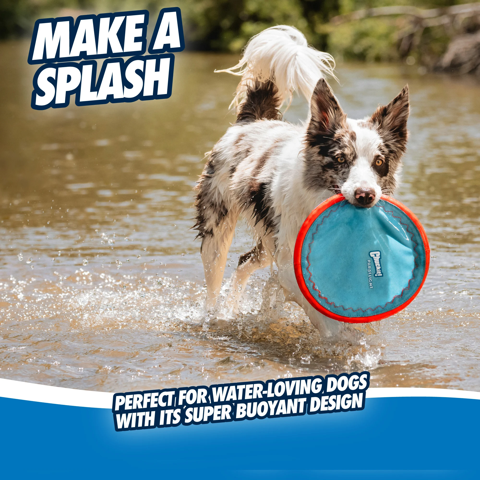 Frisbee pour chien flottant, Ø 25 cm – Chuckit! Paraflight L – Image 4