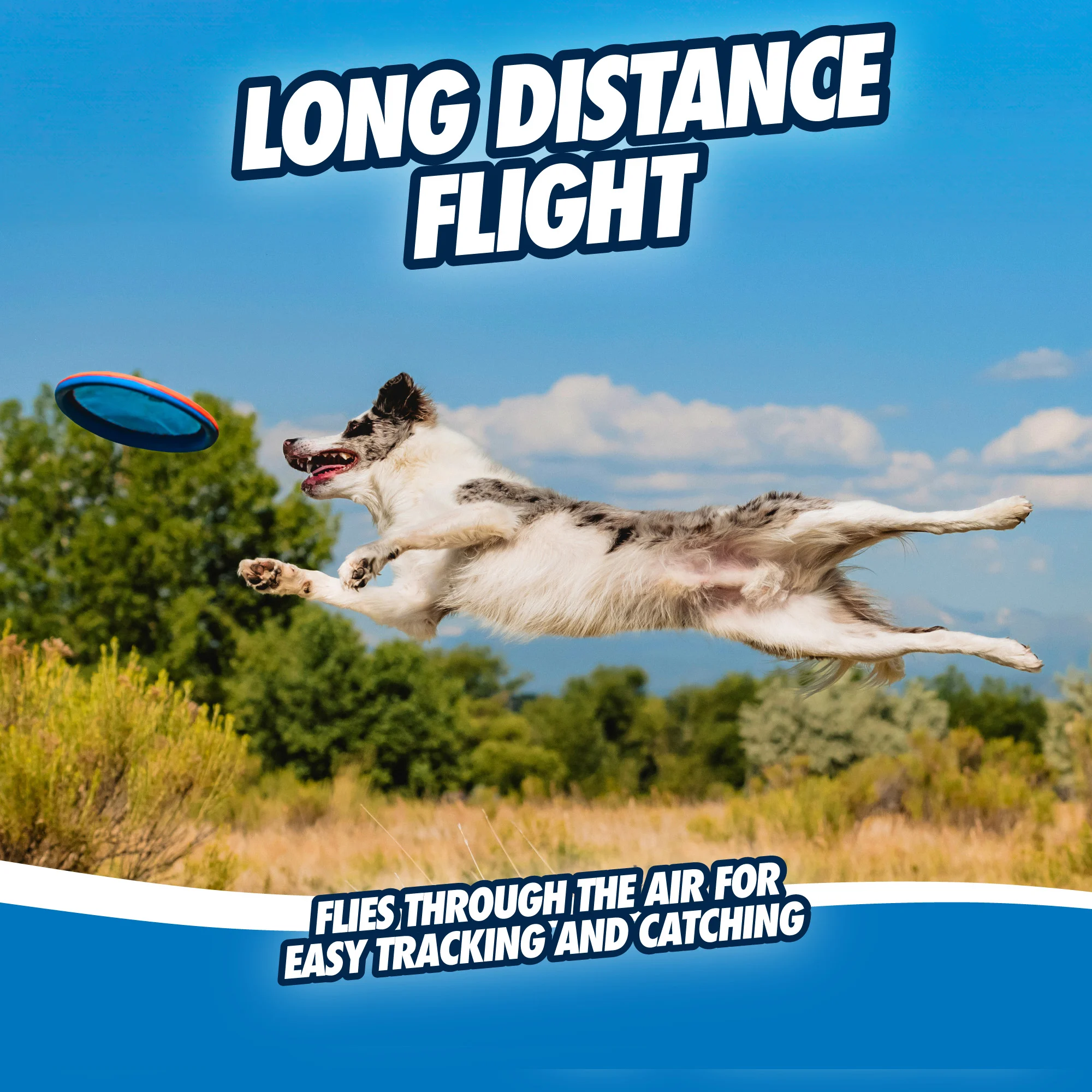 Frisbee pour chien flottant, Ø 25 cm – Chuckit! Paraflight L – Image 5