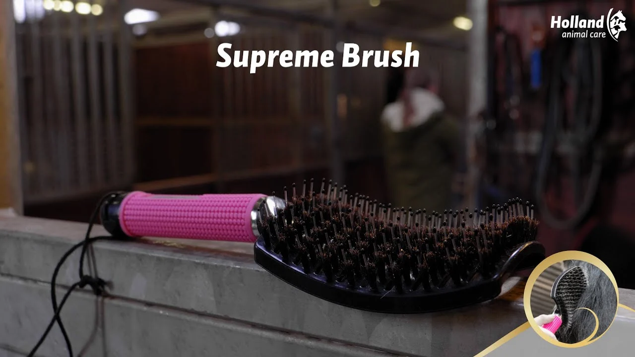 Brosse à crinière pour démêler, 24,5 cm, noire – Excellent Horse Supreme Brush – Image 2