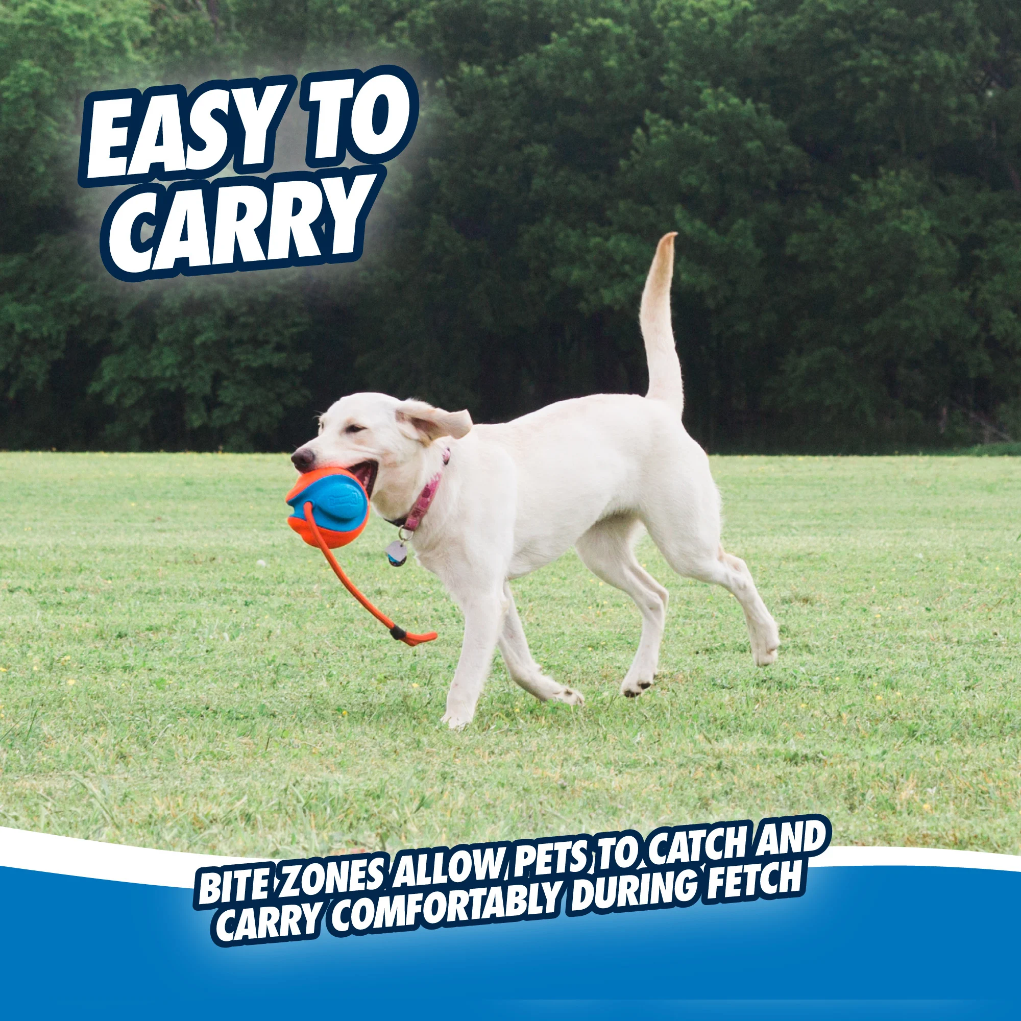 Balle pour chien avec corde et poignée, flottante, ø 13 cm – Chuckit! Rope Fetch – Image 5