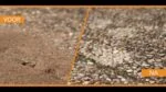 Poudre contre les fourmis à l’extérieur et les insectes rampants à l’intérieur, 250 g – Knock Pest – Image 2
