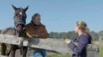 Produit d’entretien pour sabots à la graisse de cheval, 5 l – Duo Protection Hoef – Image 2