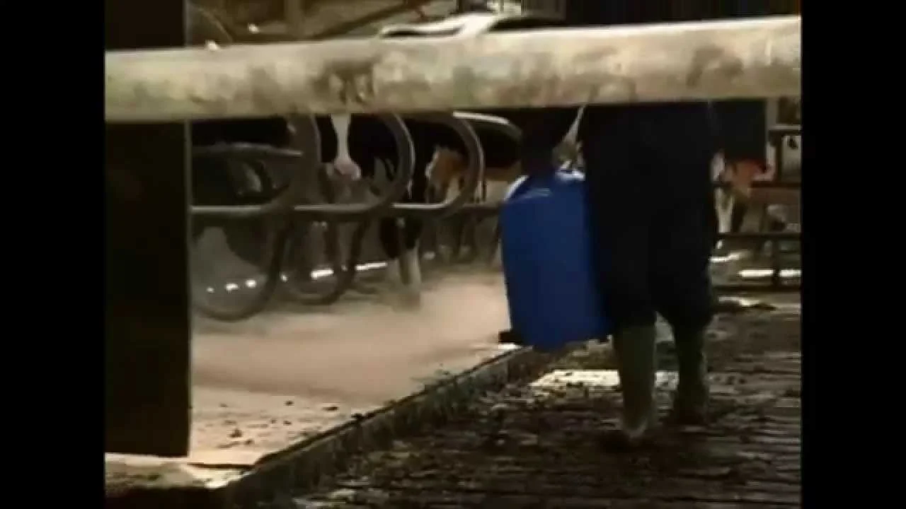 Épandeur de poudre pour logettes 12 l – Vink – Image 4