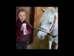 Spray démêlant pour crinière et queue de cheval, 250 ml – Lucky Horse Unicorn Knuffel Spray – Image 2