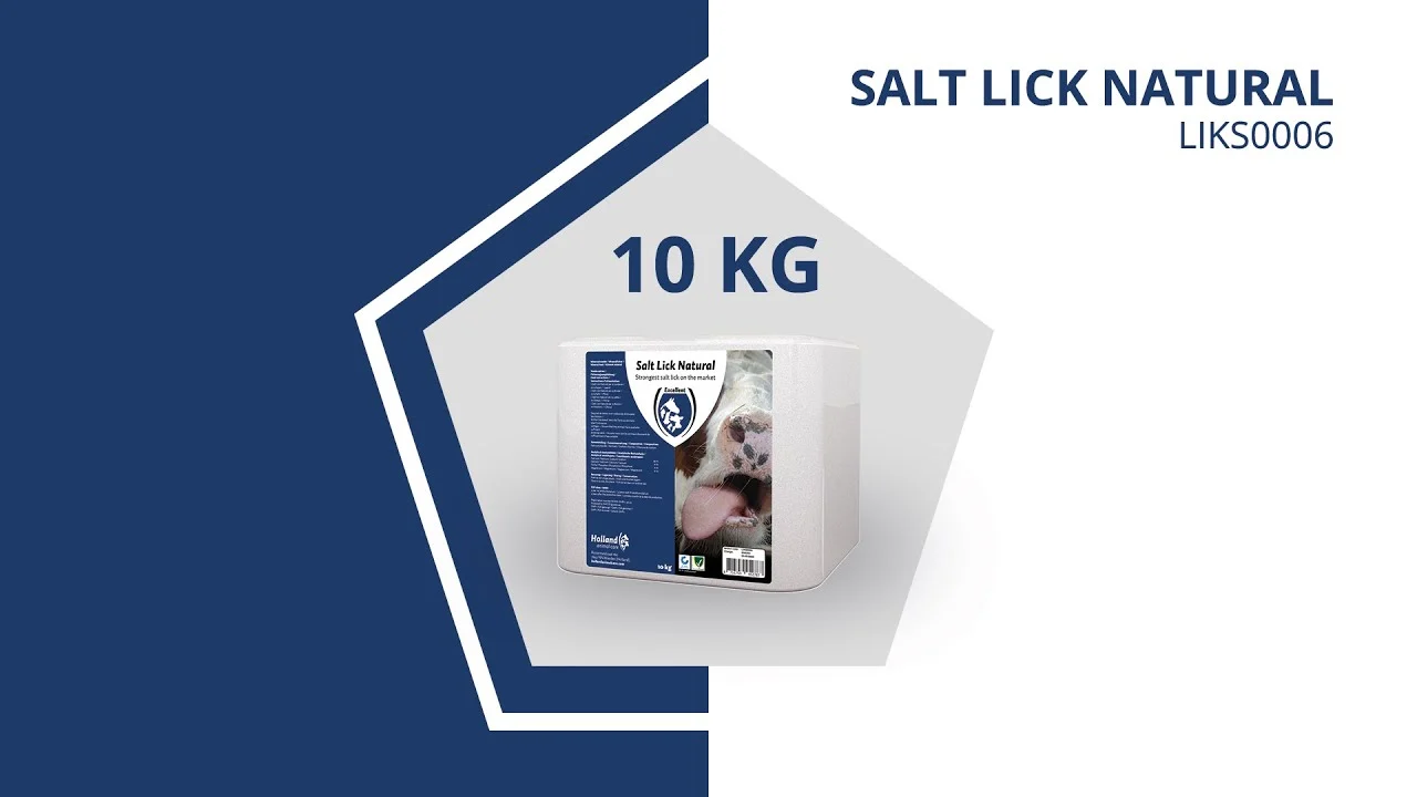 Pierre de sel gemme pour chevaux, 10 kg – Excellent Liksteen Naturel – Image 2